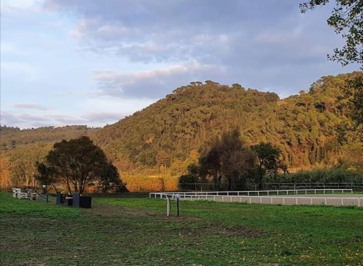 Tenuta Cantagallo Vakantieboerderij